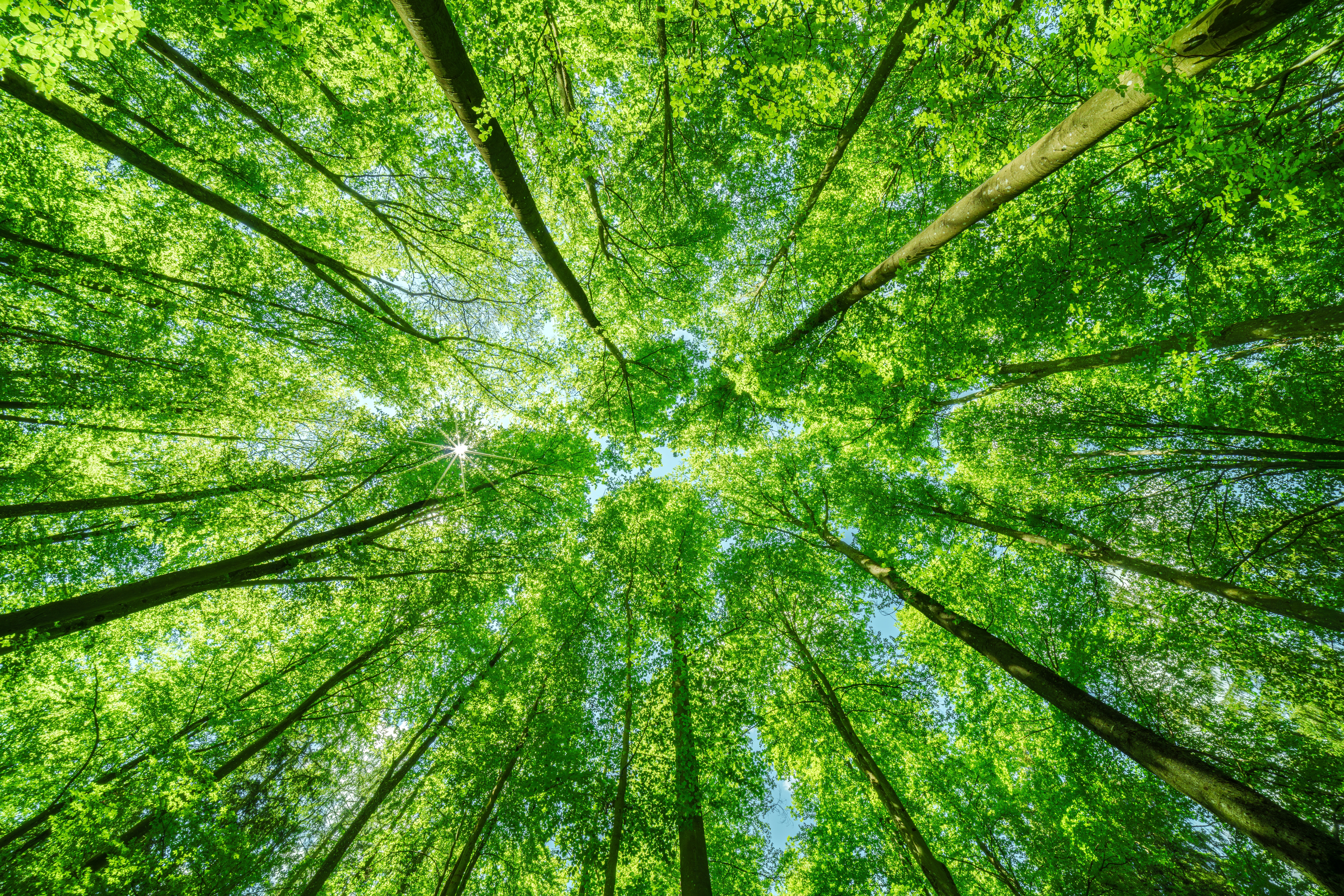 Copyright (c) 2024 shuttertim82/Shutterstock Copyright (c) 2024 shuttertim82/Shutterstock