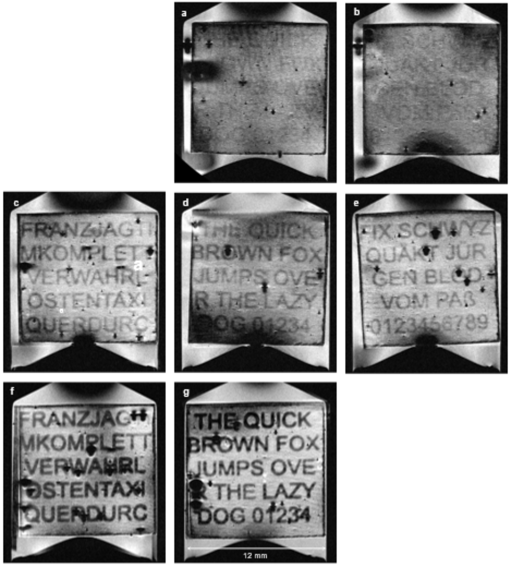 © A. Berg/MedUni Wien