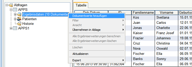 10_Abfrage-Dokumentwerte_hinzufuegen.jpg