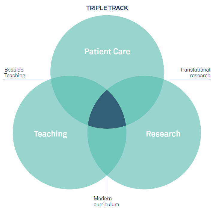 The triple track of education, research and patient care 